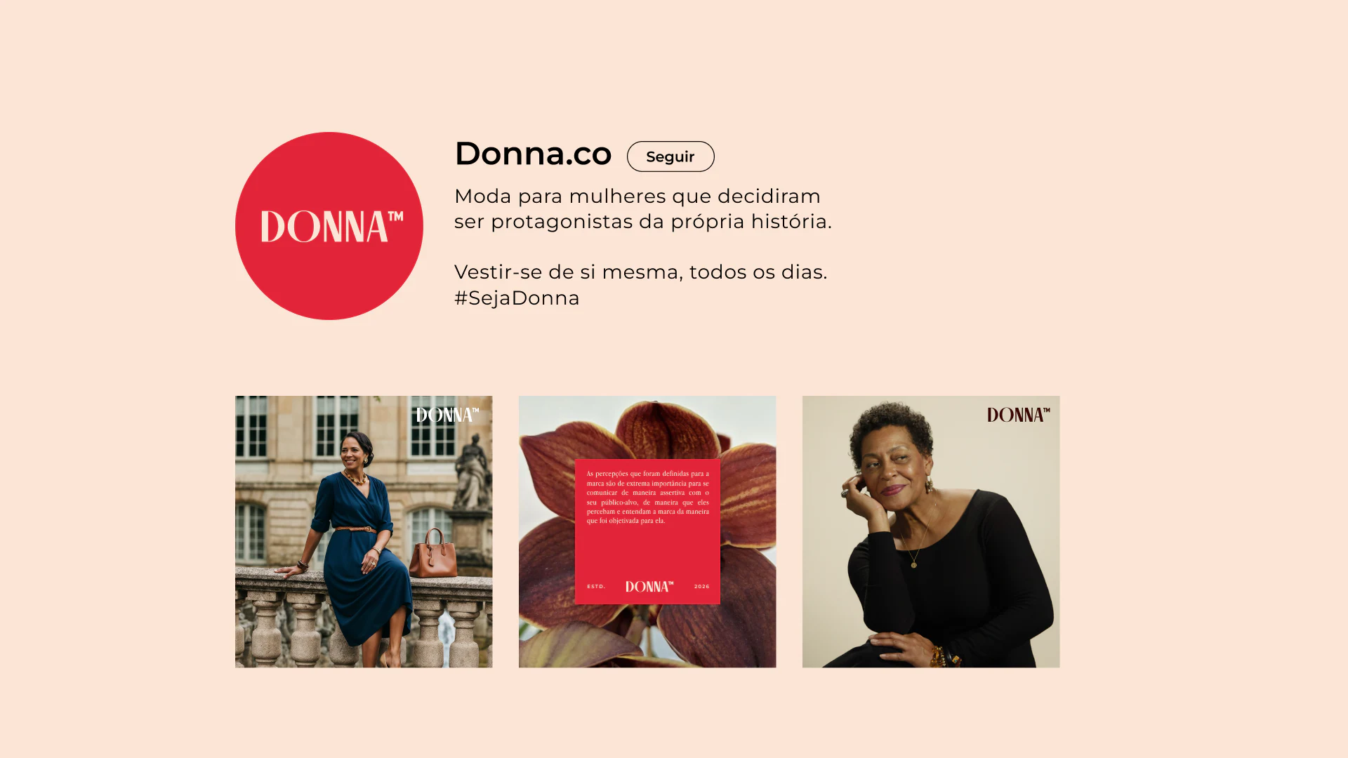 Donna project presentation 3