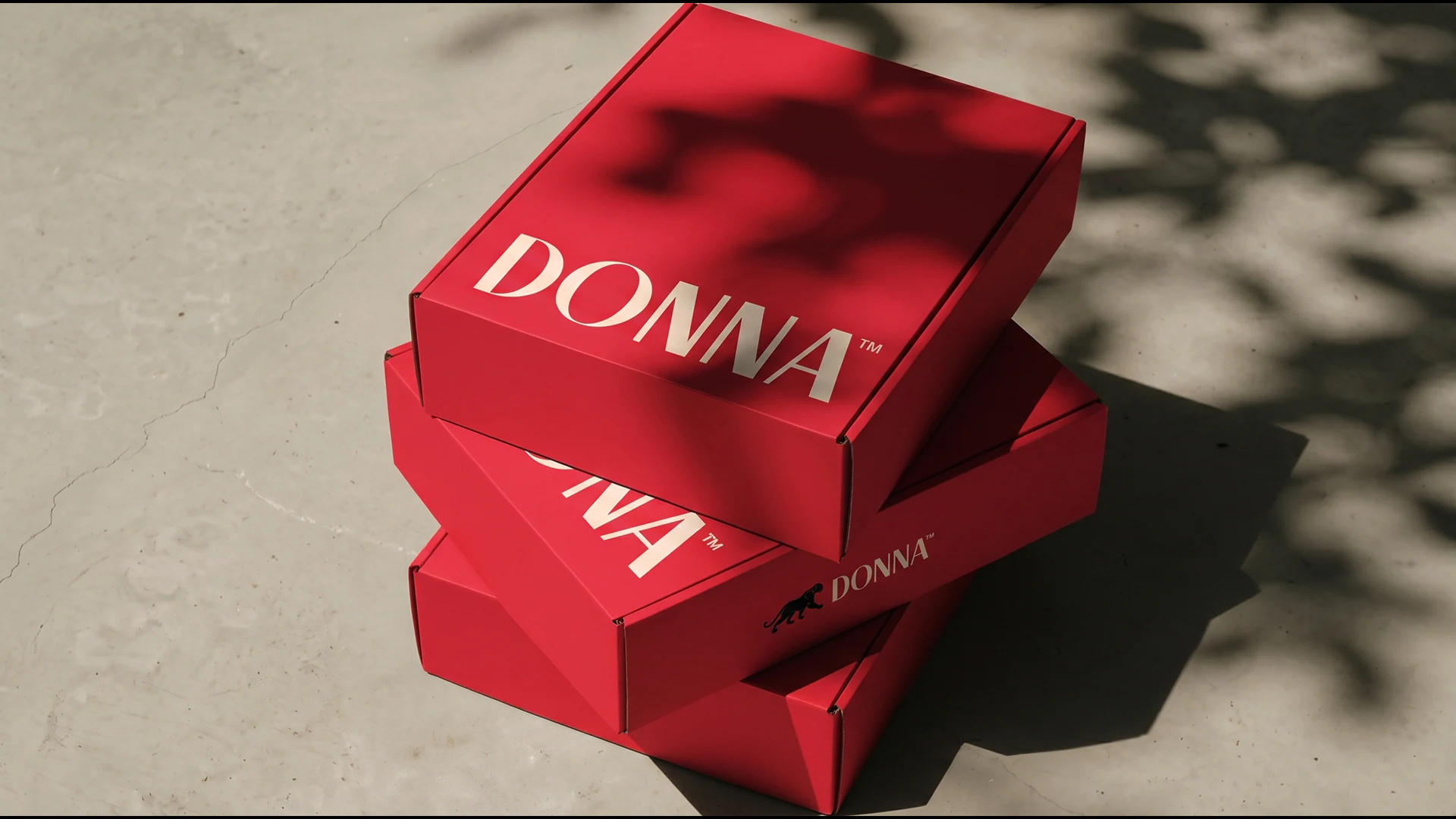 Donna project presentation 9