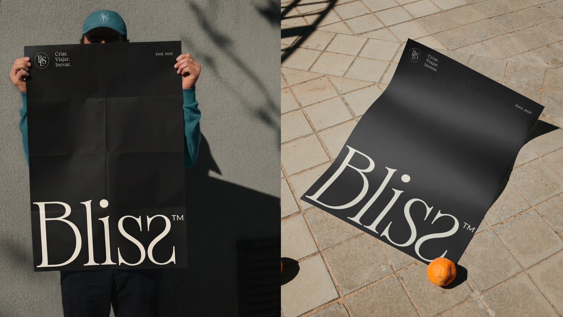 Bliss project presentation 13