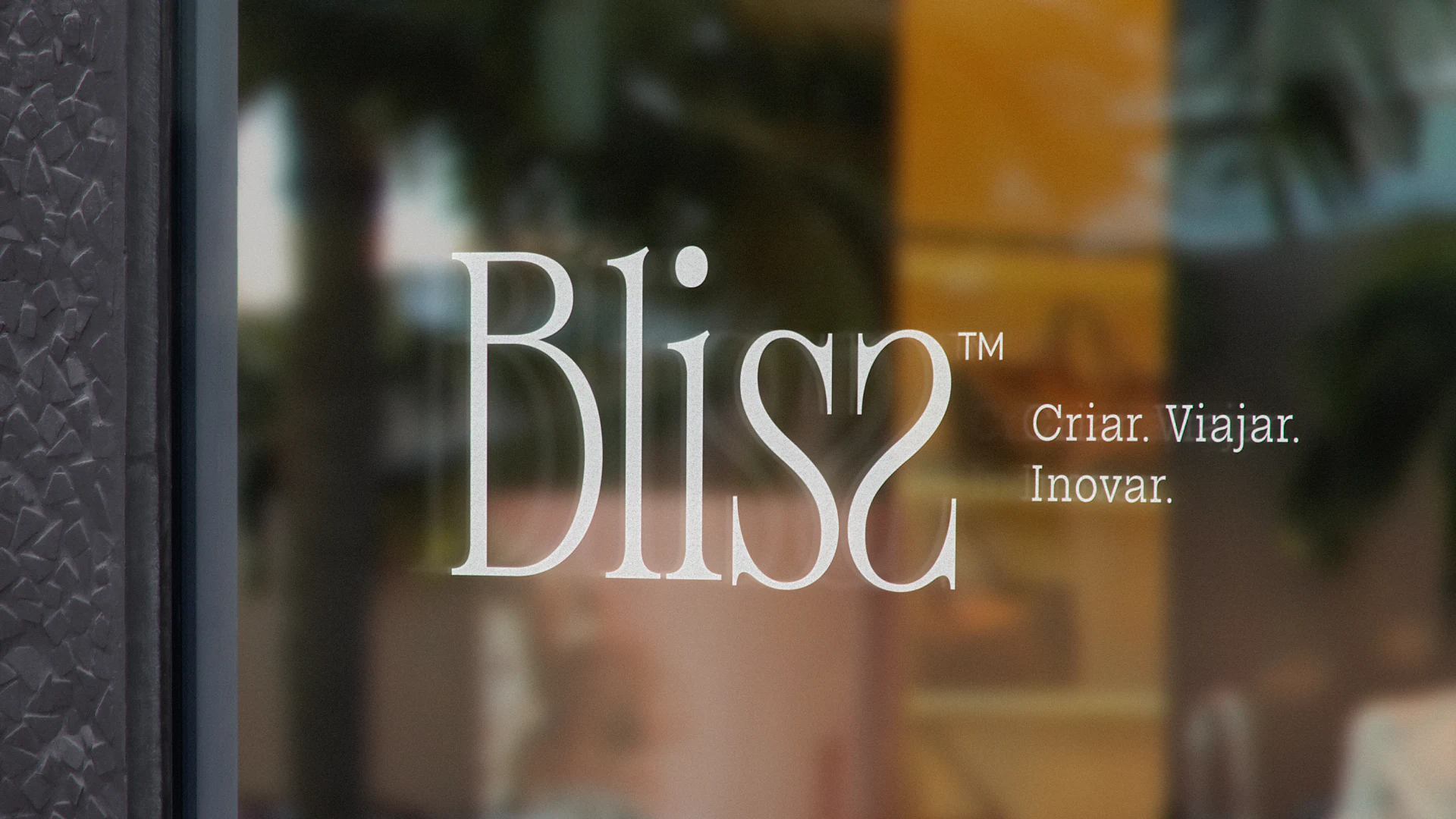 Bliss project presentation 14